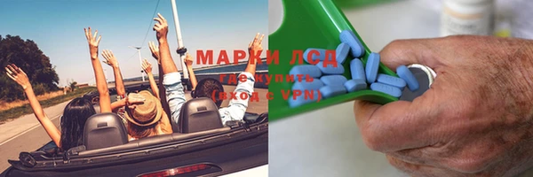 шишки Кукмор