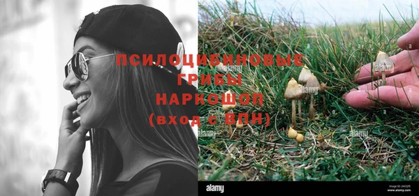 шишки Кукмор