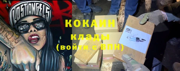 шишки Кукмор