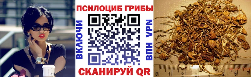 Галлюциногенные грибы Psilocybe  omg маркетплейс  Темрюк  цены наркотик 