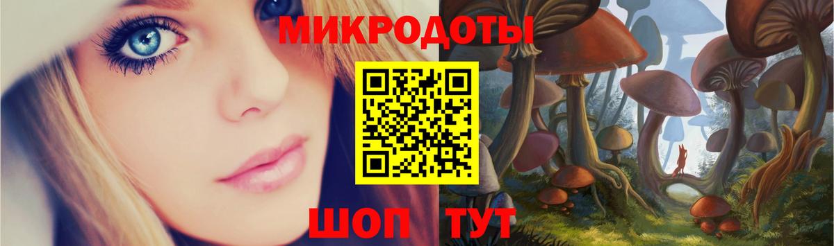 Псилоцибиновые грибы Psilocybe  Темрюк  Галлюциногенные грибы ЛСД 